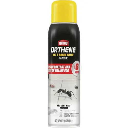 Orthene 18 Oz. Aerosol Spray Ant & Roach Killer Orthene 18 Oz. Aerosol Spray Ant & Roach Killer