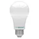 Viribright A19 LED Bulb