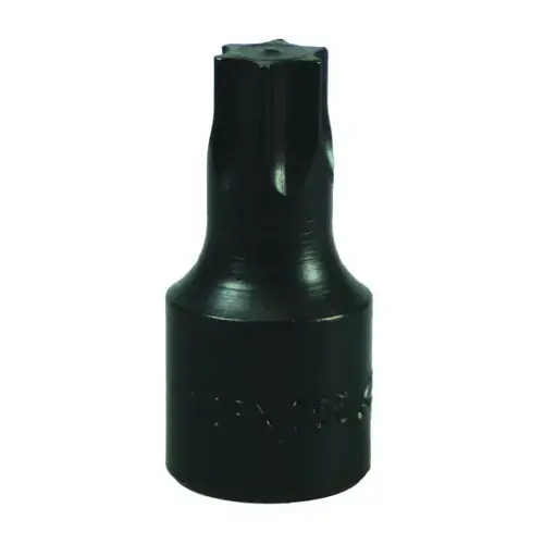TORX DRIVE BIT-T55 TORX DRIVE BIT-T55