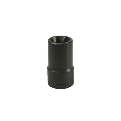 1/2DR E20 TORX SOCKET 1/2DR E20 TORX SOCKET