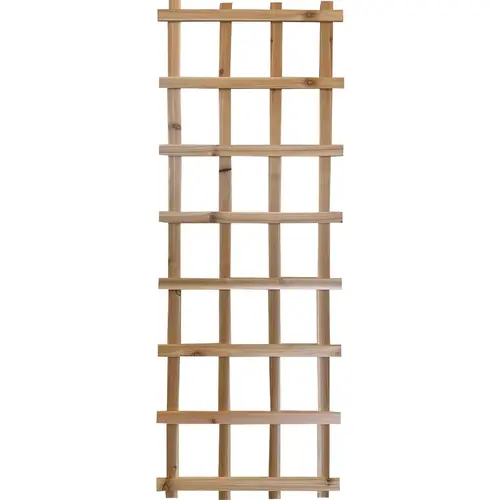 6 Ft. Heavy Duty Ladder Trellis 6 Ft. Heavy Duty Ladder Trellis