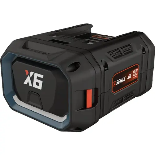X6 60V Max Lithium-Ion 4.0 Ah Battery X6 60V Max Lithium-Ion 4.0 Ah Battery