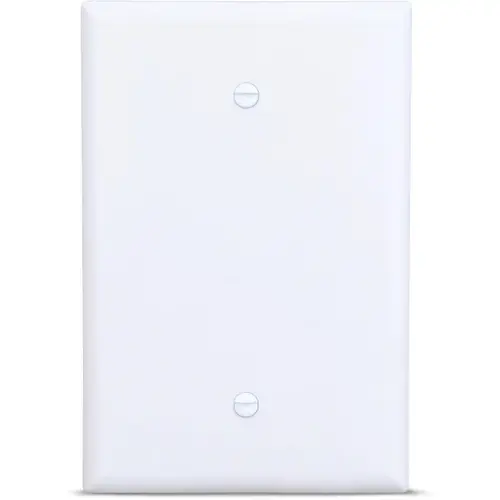 Eaton 1-Gang Jumbo White Thermoplastic Blank Wall Plate, Pack of 20 Eaton 1-Gang Jumbo White Thermoplastic Blank Wall Plate, Pack of 20