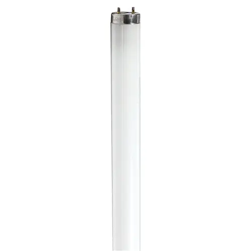 F17T8CW Fluorescent Linear Replacement Tube 24" - pack of 24 F17T8CW Fluorescent Linear Replacement Tube 24" - pack of 24