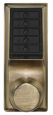 Satin Brass Blackened