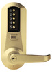 Satin Brass
