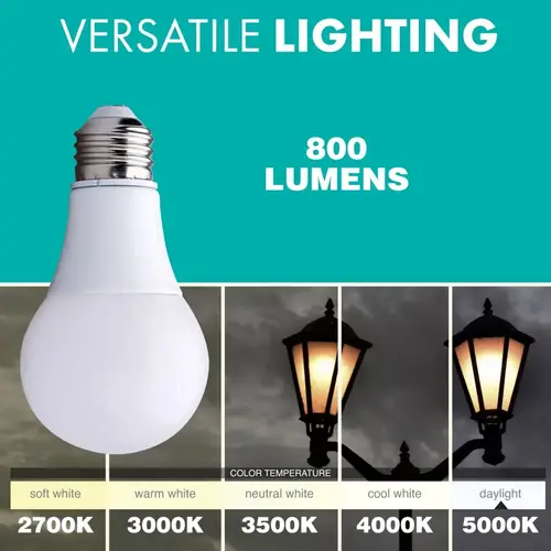 9W A19 Non-Dimmable LED Lightbulb 5000K 100-Pk - pack of 100 9W A19 Non-Dimmable LED Lightbulb 5000K 100-Pk - pack of 100