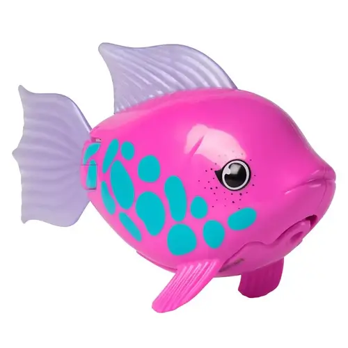 RAINBOW REEF FISH RAINBOW REEF FISH