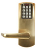 Satin Brass
