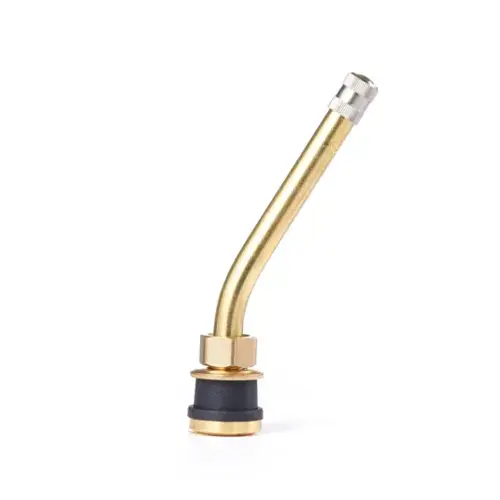 TR572-F19 Brass Truck Valve 31 Degree Bend (Pack of 50) TR572-F19 Brass Truck Valve 31 Degree Bend (Pack of 50)