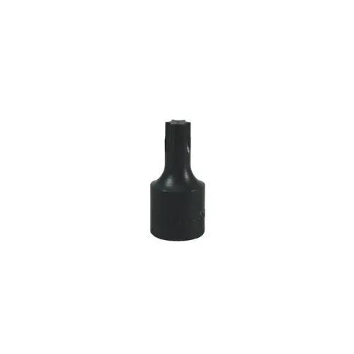 T50 Torx Bit Socket Bit T50 Torx Bit Socket Bit