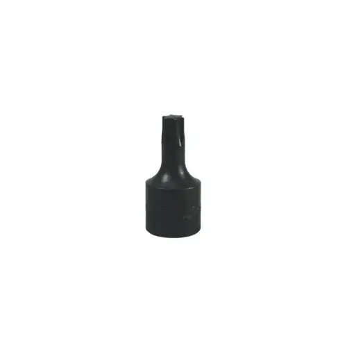 T45 Torx Bit Socket T45 Torx Bit Socket