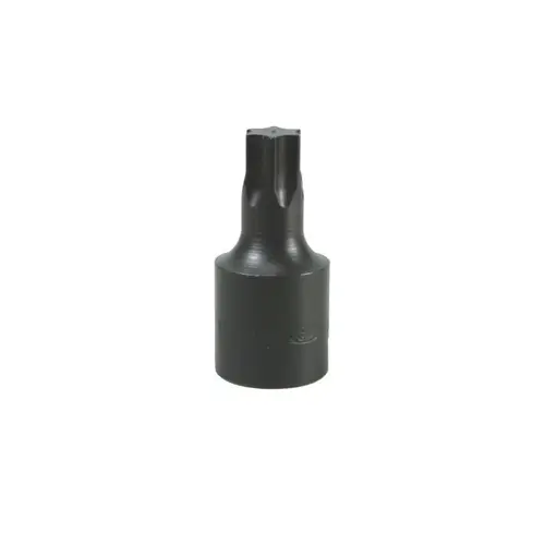 TORX DRIVE BIT-T60 TORX DRIVE BIT-T60