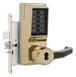 Bright Polished Brass