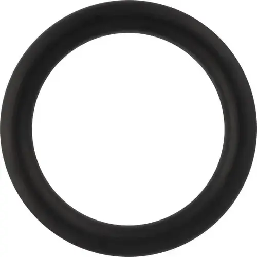 O-RINGS 13/16 INNER DIA. 1-1/16 OUTER DIA. O-RINGS 13/16 INNER DIA. 1-1/16 OUTER DIA.