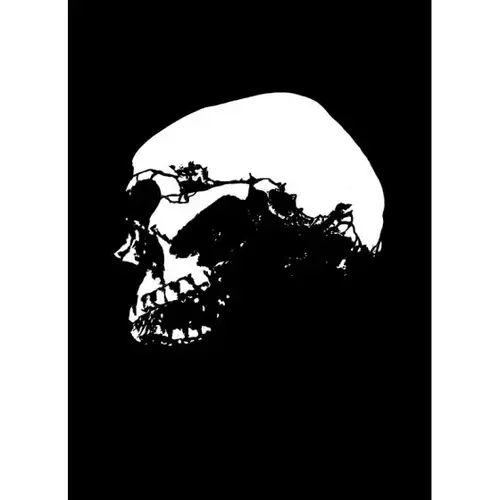 COCONUT SKULL, 2-SERIES COCONUT SKULL, 2-SERIES