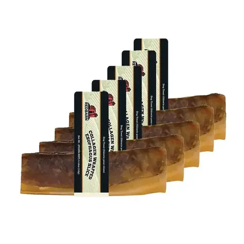 Collagen Wrapped Esophagus Slices Collagen Wrapped Esophagus Slices