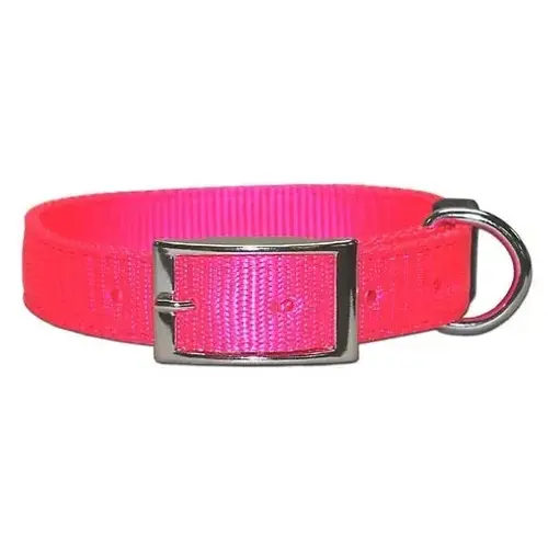 Nylon Collar 1" x 21" - Neon Pink Nylon Collar 1" x 21" - Neon Pink