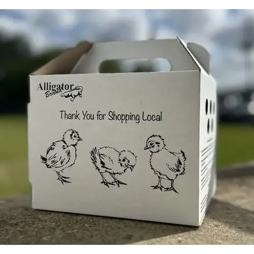 ALLIGATOR BRAND CHICK BOX 6x7.5" CARRYING BOX ALLIGATOR BRAND CHICK BOX 6x7.5" CARRYING BOX