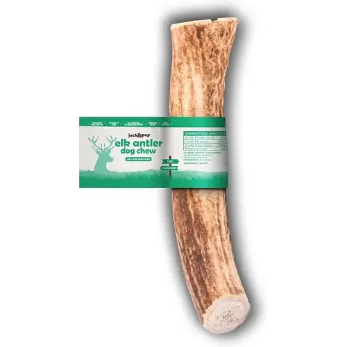 Elk Antler Medium - Box Elk Antler Medium - Box