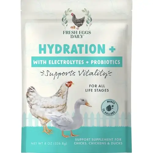 FRESH EGGS DAILY HYDRATION & ELECTROLYTES - 8 oz FRESH EGGS DAILY HYDRATION & ELECTROLYTES - 8 oz