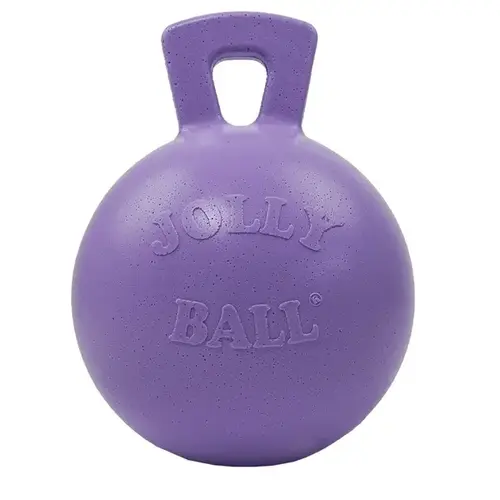 Jolly Ball 10" Scented - Light Purple/Grape Jolly Ball 10" Scented - Light Purple/Grape