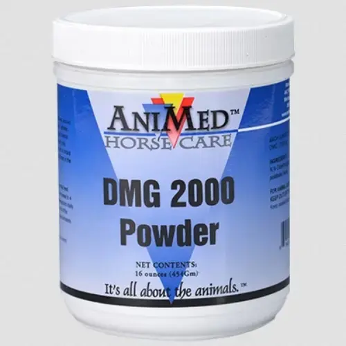 DMG 2000 Powder - 16 oz Jar DMG 2000 Powder - 16 oz Jar