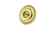 Polished Brass