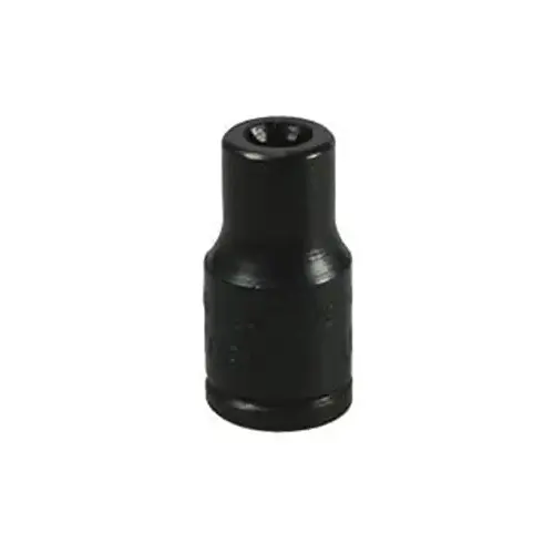E7 TORX SKT E7 TORX SKT