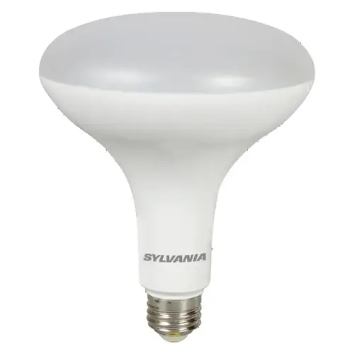 LED Reflector Flood Retrofit Bulb, Plastic Material, 13 Watts Power, 1100 Lumens, 2700K Color Temperature, Frosted Finish LED Reflector Flood Retrofit Bulb, Plastic Material, 13 Watts Power, 1100 Lumens, 2700K Color Temperature, Frosted Finish