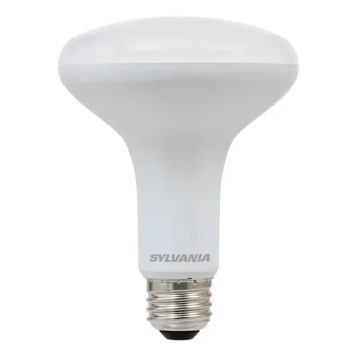 LED Reflector Flood Retrofit Bulb, Plastic Material, 8 Watts, 650 Lumens, 3000K Color Temperature, Frosted Finish, Pack of 2 LED Reflector Flood Retrofit Bulb, Plastic Material, 8 Watts, 650 Lumens, 3000K Color Temperature, Frosted Finish, Pack of 2