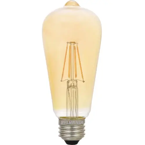 LED Antique Filament Light Bulb, ST19 Lamp Type, 4.5 Watts, 380 Lumens, 2200K Color Temperature, Amber Finish LED Antique Filament Light Bulb, ST19 Lamp Type, 4.5 Watts, 380 Lumens, 2200K Color Temperature, Amber Finish