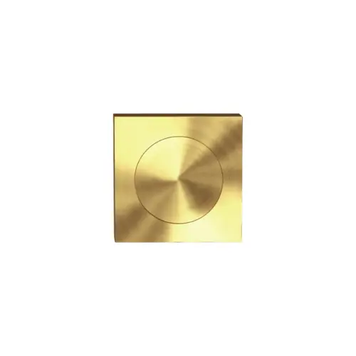 Blind escutcheon satin brass Blind escutcheon satin brass