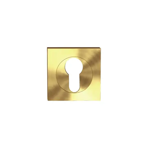 Euro profile cylinder rose satin brass Euro profile cylinder rose satin brass