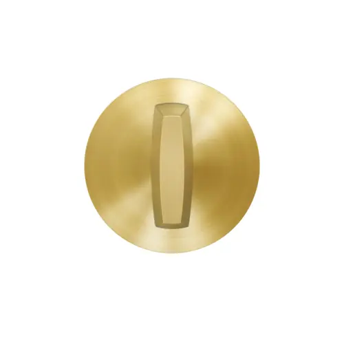 Deadbolt satin brass Deadbolt satin brass