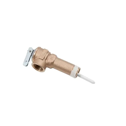 Kit 2-1/2" Shank T & P Valve 100108599 Kit 2-1/2" Shank T & P Valve 100108599