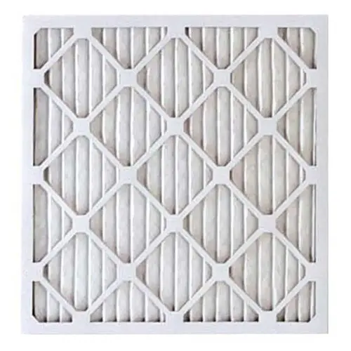 Air Filter 20x25x2 Replaces B1369611 Air Filter 20x25x2 Replaces B1369611