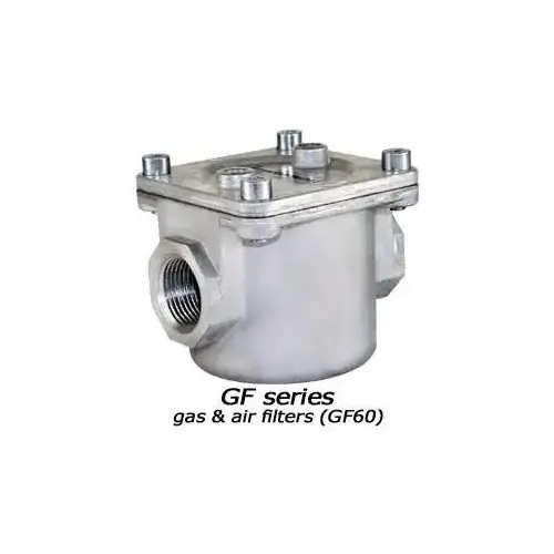 1" Gas Filter 100 KPA 1" Gas Filter 100 KPA
