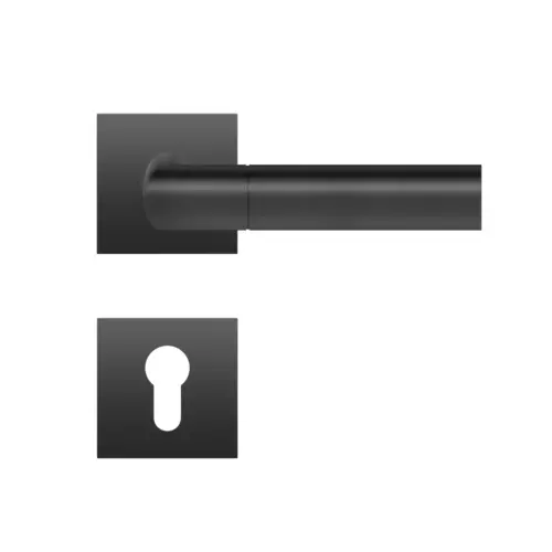 Lever set on rose Oregon Lever set on rose Oregon