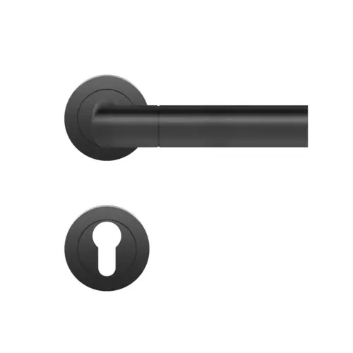 Lever set on rose Oregon Lever set on rose Oregon