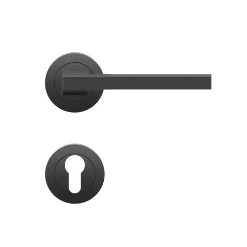 Lever set on rose Boston Lever set on rose Boston