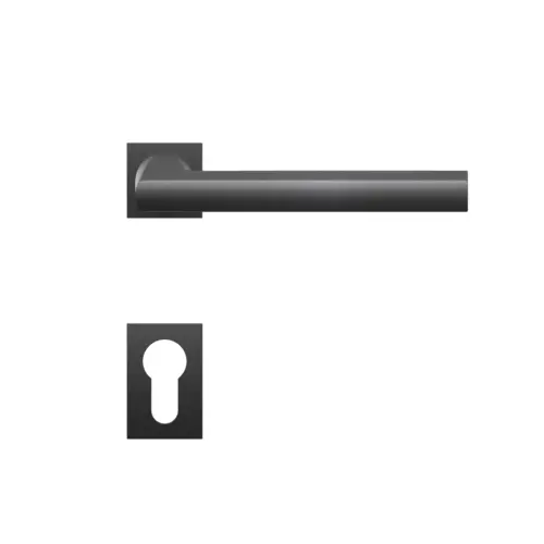 Lever set on rose Montana Lever set on rose Montana