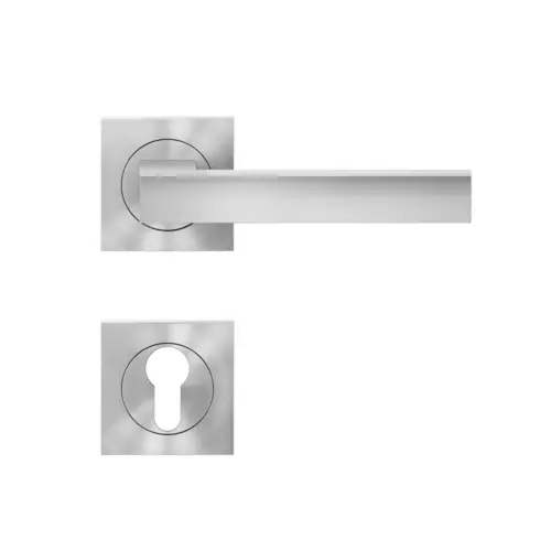 Lever set on rose Seattle Lever set on rose Seattle