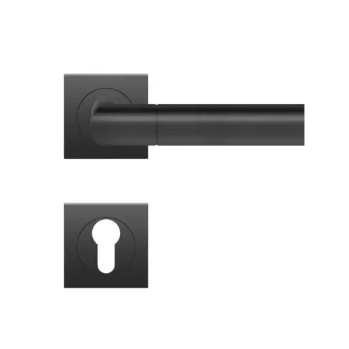 Lever set on rose Oregon Lever set on rose Oregon