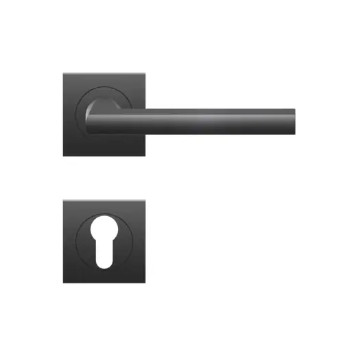 Lever set on rose Montana Lever set on rose Montana