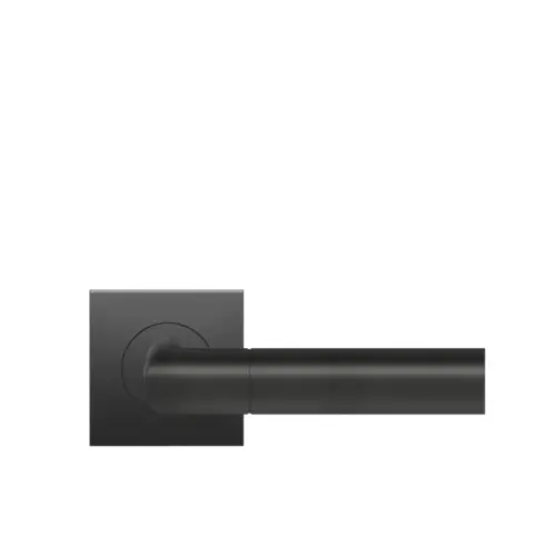 Lever set on rose Oregon Lever set on rose Oregon