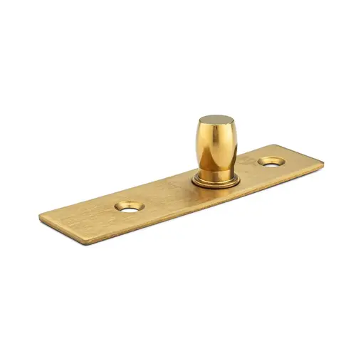 PT24 - Alva Top Pivot - Brushed Brass PVD PT24 - Alva Top Pivot - Brushed Brass PVD