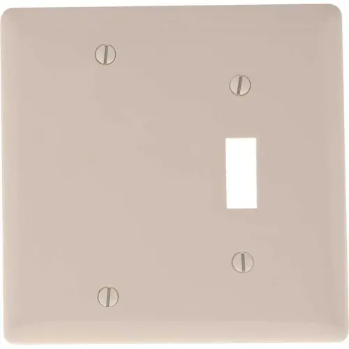 2-Gang Toggle Blank Wall Plate, White