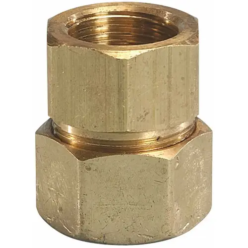 TRAC PIPE AUTOFLARE FITTING 3/4 IN. FEMALE ADAPTER*