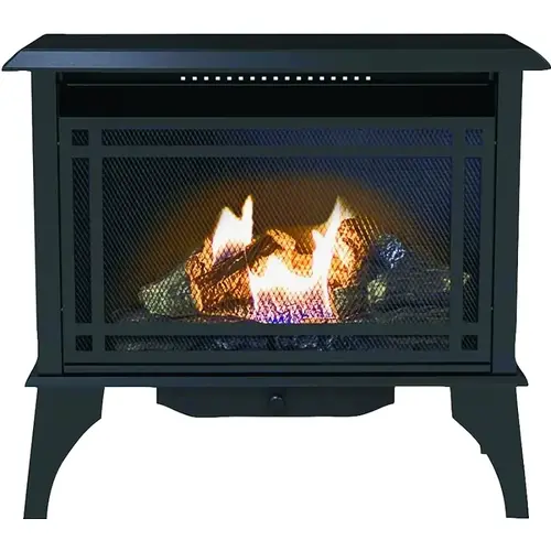 GSD2845 Gas Stove, 31.93 in W, 28.28 in H, 30,000 Btu Heating, Liquid Propane, Steel, Black